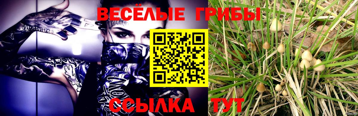 Тосно  Галлюциногенные грибы ЛСД  Вход с VPN 